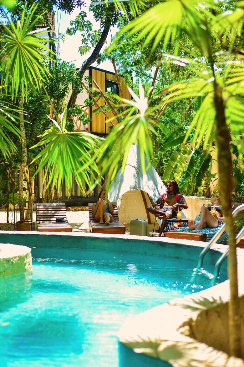 Hotel Bufo Alvarius