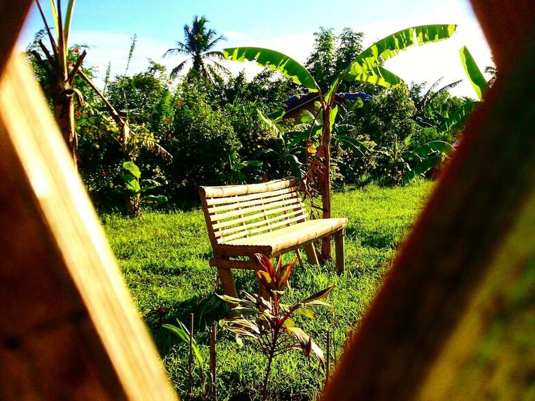 Posada Banana Grove Backpackers Inn