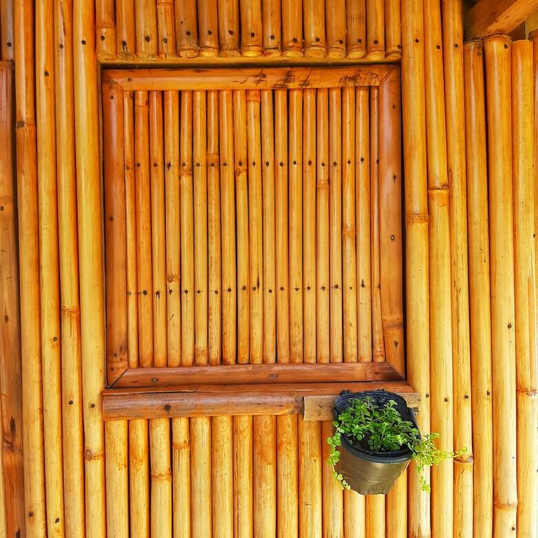 Posada Banana Grove Backpackers Inn
