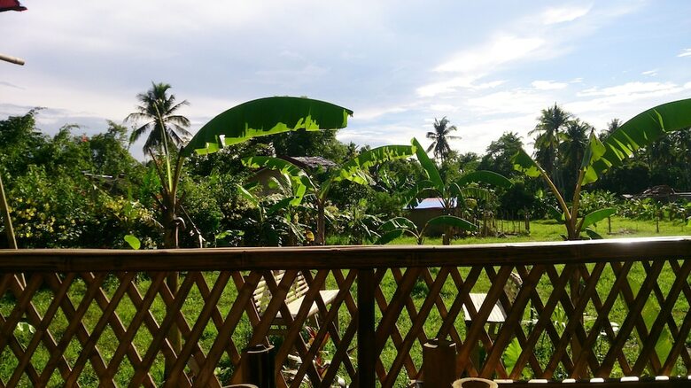 Posada Banana Grove Backpackers Inn