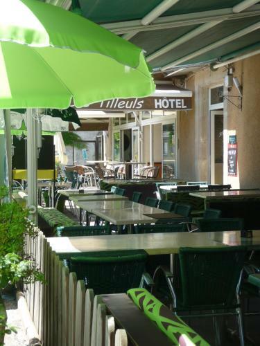 Hotel H�tel Les Tilleuls De Pareloup