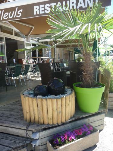 Hotel H�tel Les Tilleuls De Pareloup