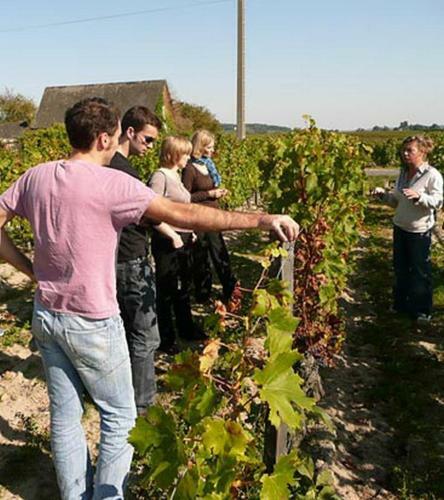 Bed & Breakfast La Pinsonni�re