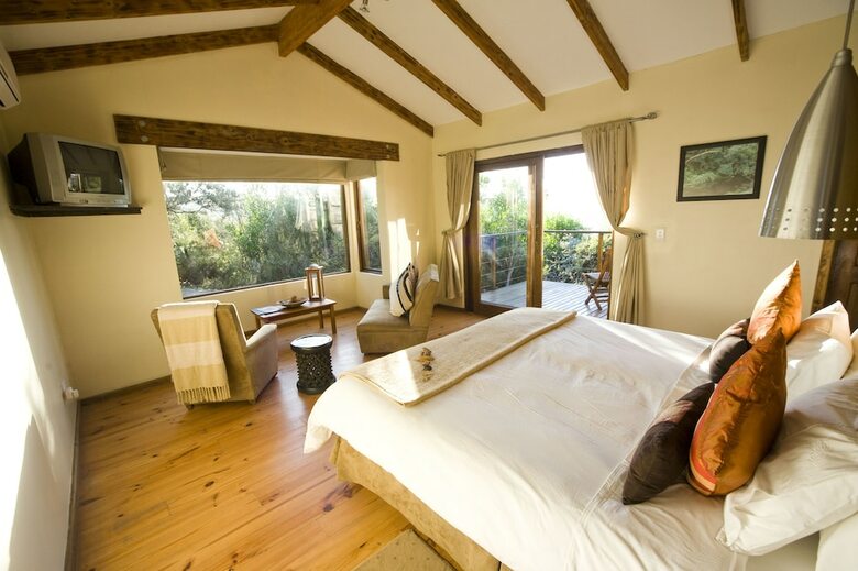 Hotel Elephant Hide Of Knysna Guest Lodge