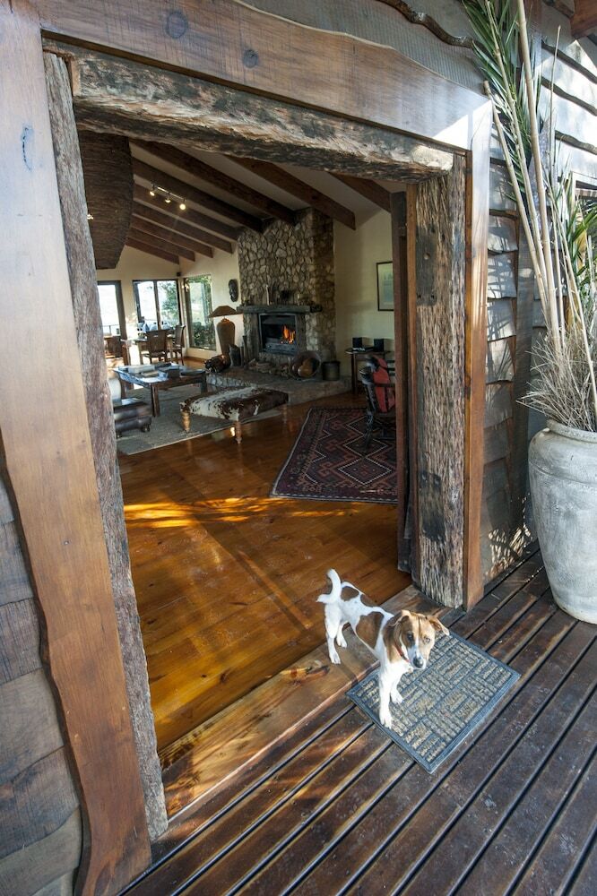 Hotel Elephant Hide Of Knysna Guest Lodge