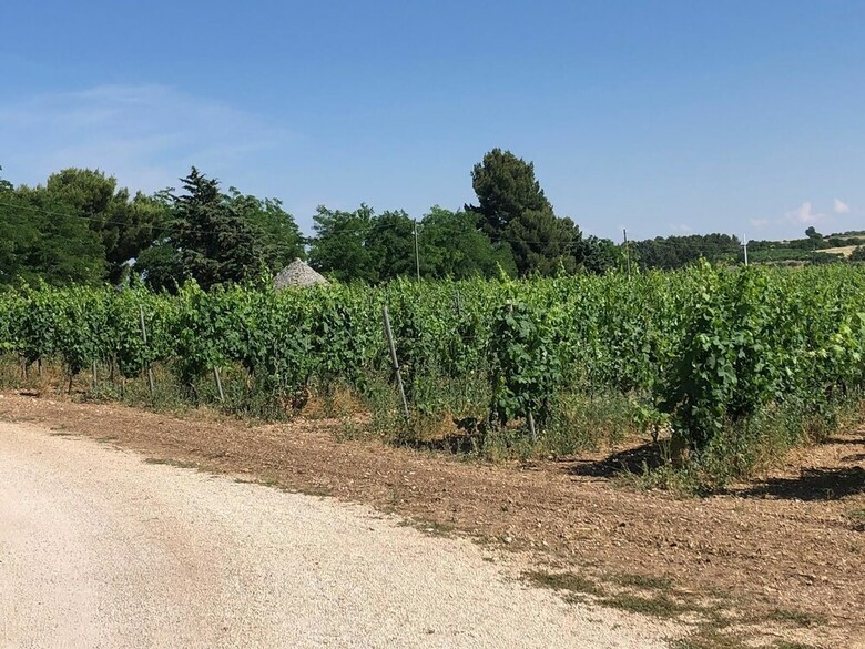 Agroturismo Ai Pilieri Di Bagnoli