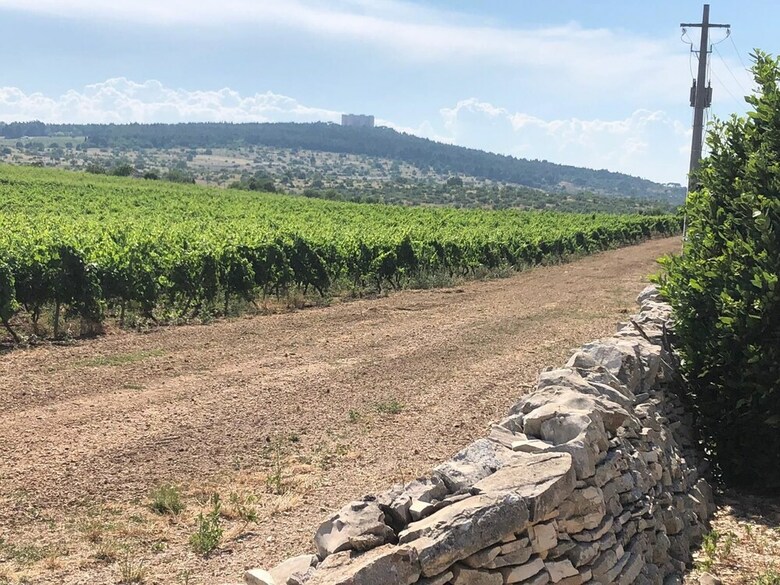 Agroturismo Ai Pilieri Di Bagnoli