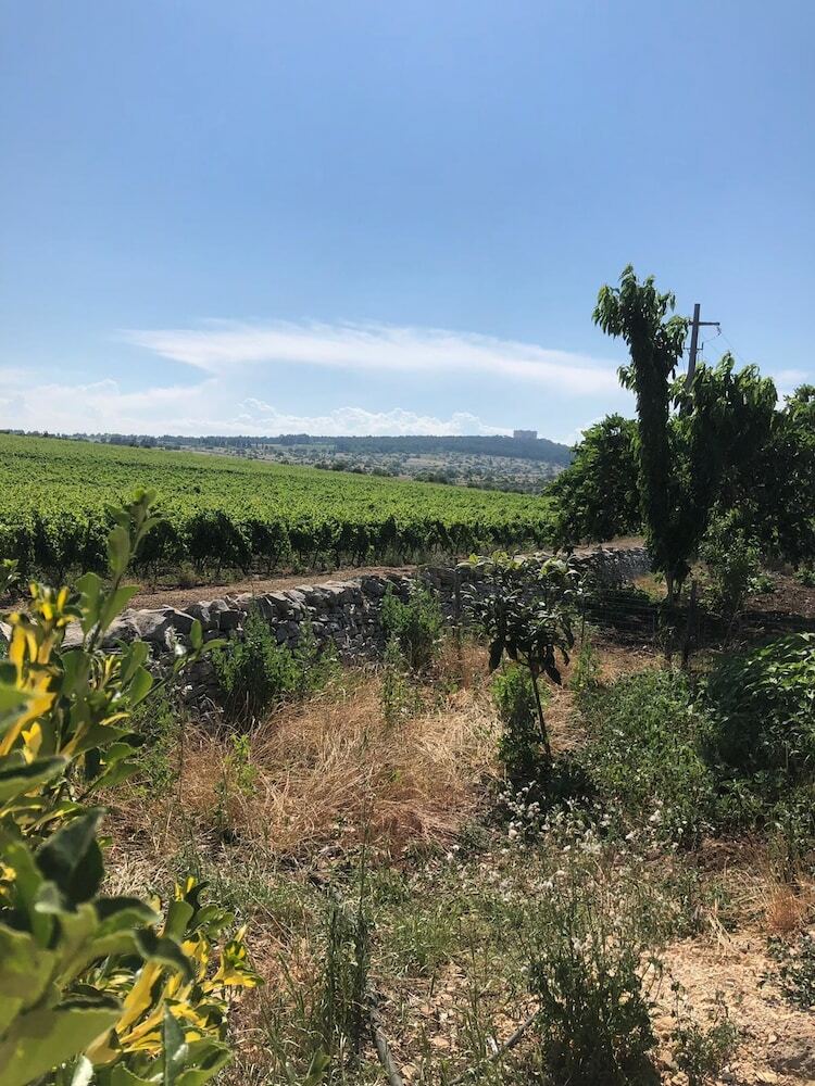Agroturismo Ai Pilieri Di Bagnoli