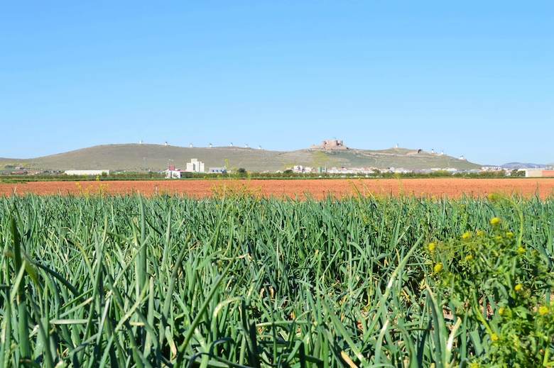 Agroturismo El Retiro de La Mancha