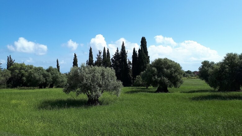Villa Elaionas 1