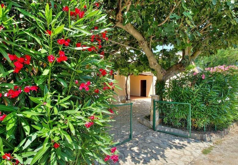 House Flora