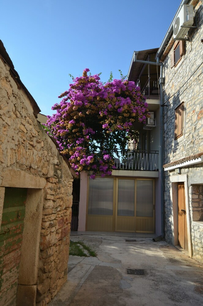 House Nevenka