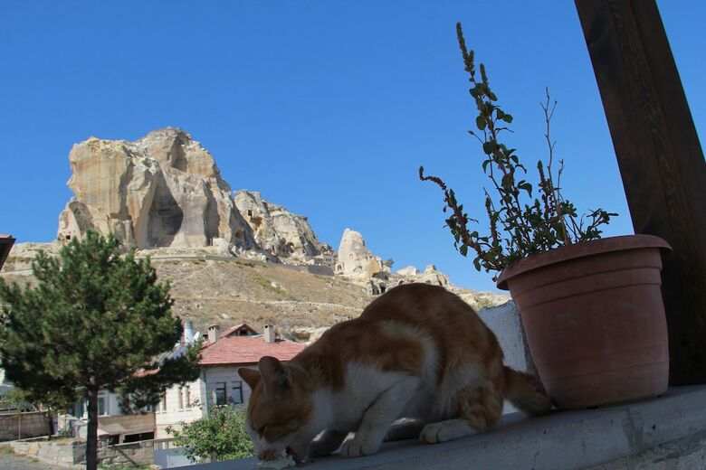 Hotel Tafana Cave & Stone Lodge