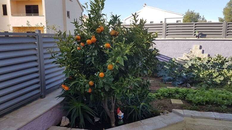Apartments And Rooms Slavica