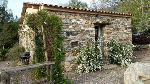 Hostal Domaine Andria