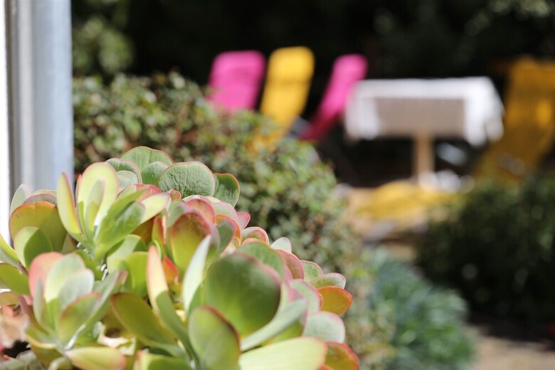 Apartments Botanica