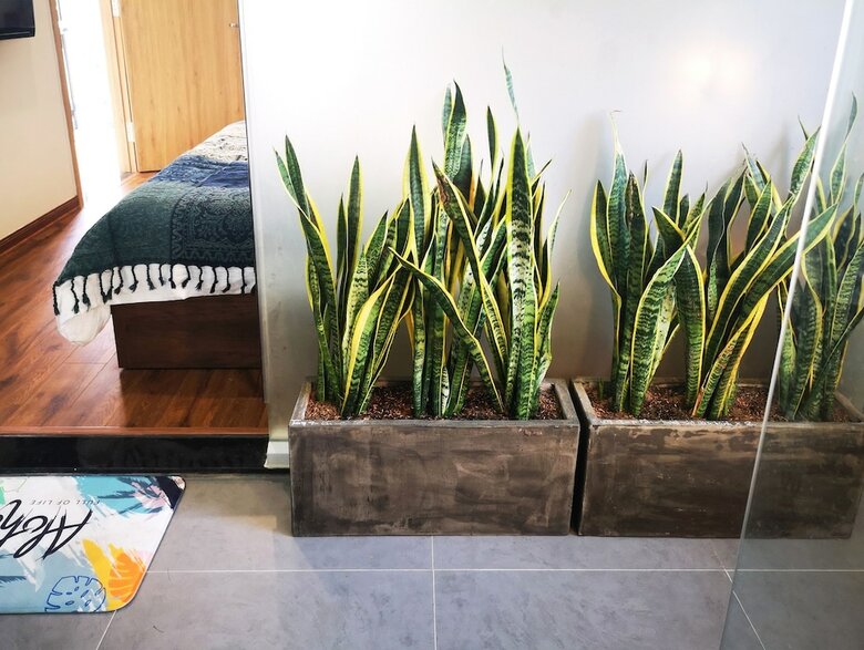 Hostal Benzen Boutique Stays Hostel And Apartment