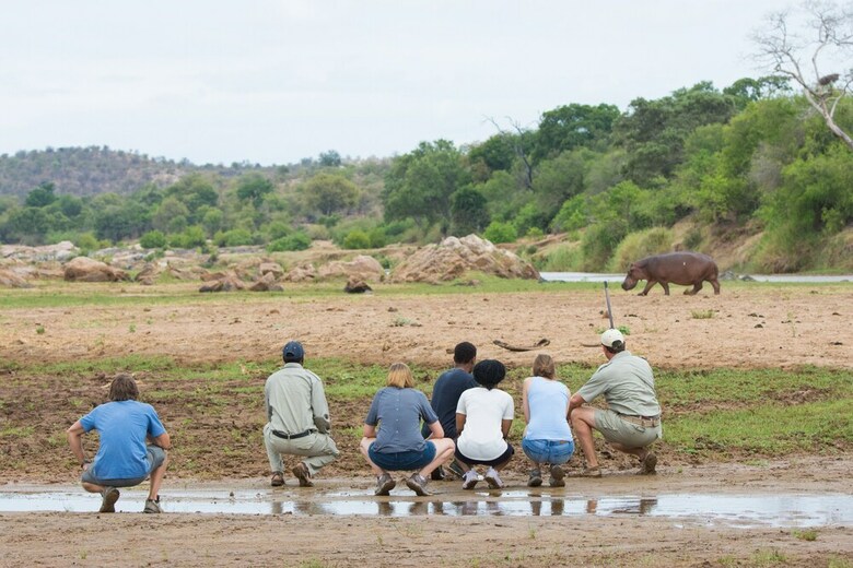 Posada Sefapane Lodges And Safaris
