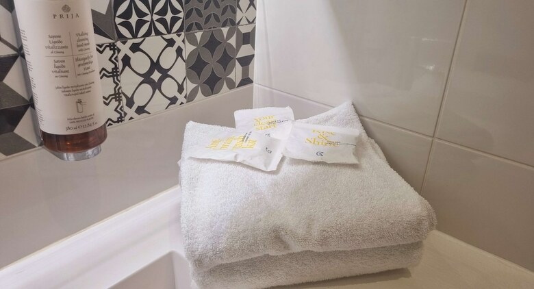 Hotel Golden Tulip Troyes
