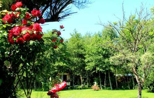 Bed & Breakfast Roulottes Du Rouard