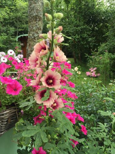 Bed & Breakfast Roulottes Du Rouard