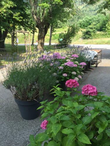 Bed & Breakfast Auberge Du Col De Brouis