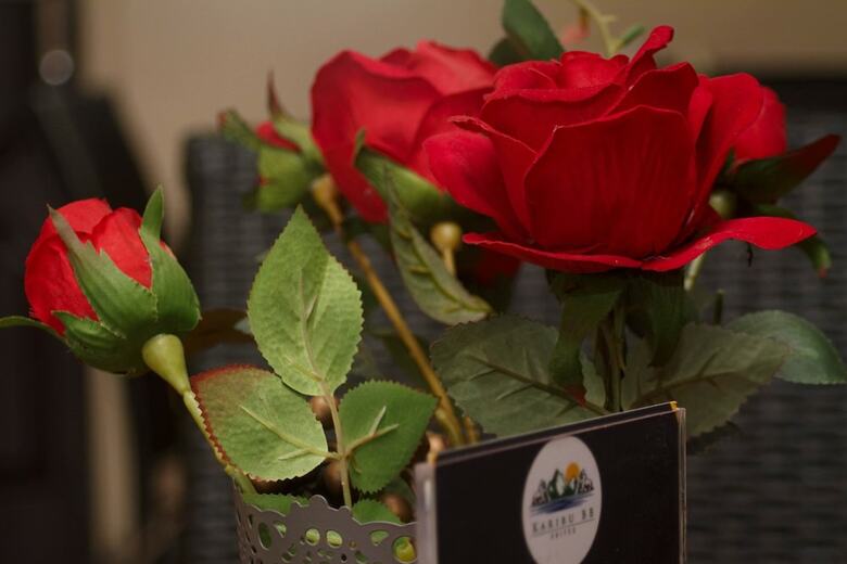 Hotel Karibu Bb Suites