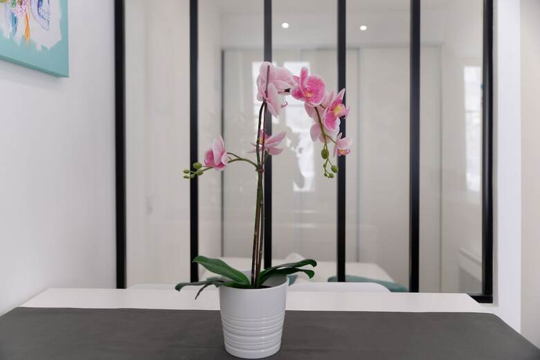 Apartamento Panier Fontaine