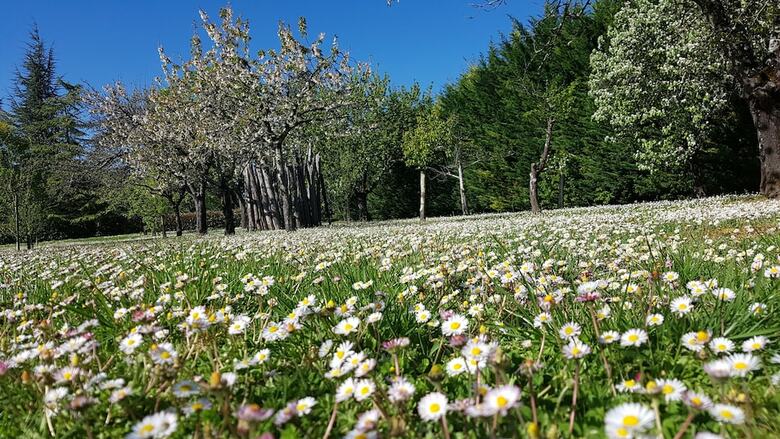 Gite Le Domaine de La Brette