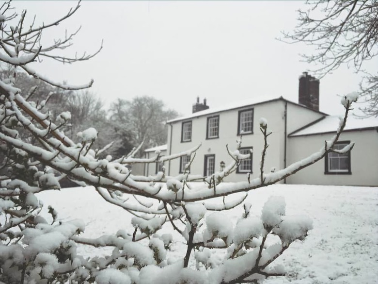 Bed & Breakfast Lanercost Equestrian And Country