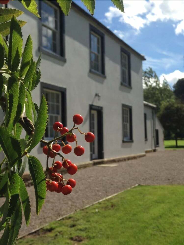 Bed & Breakfast Lanercost Equestrian And Country
