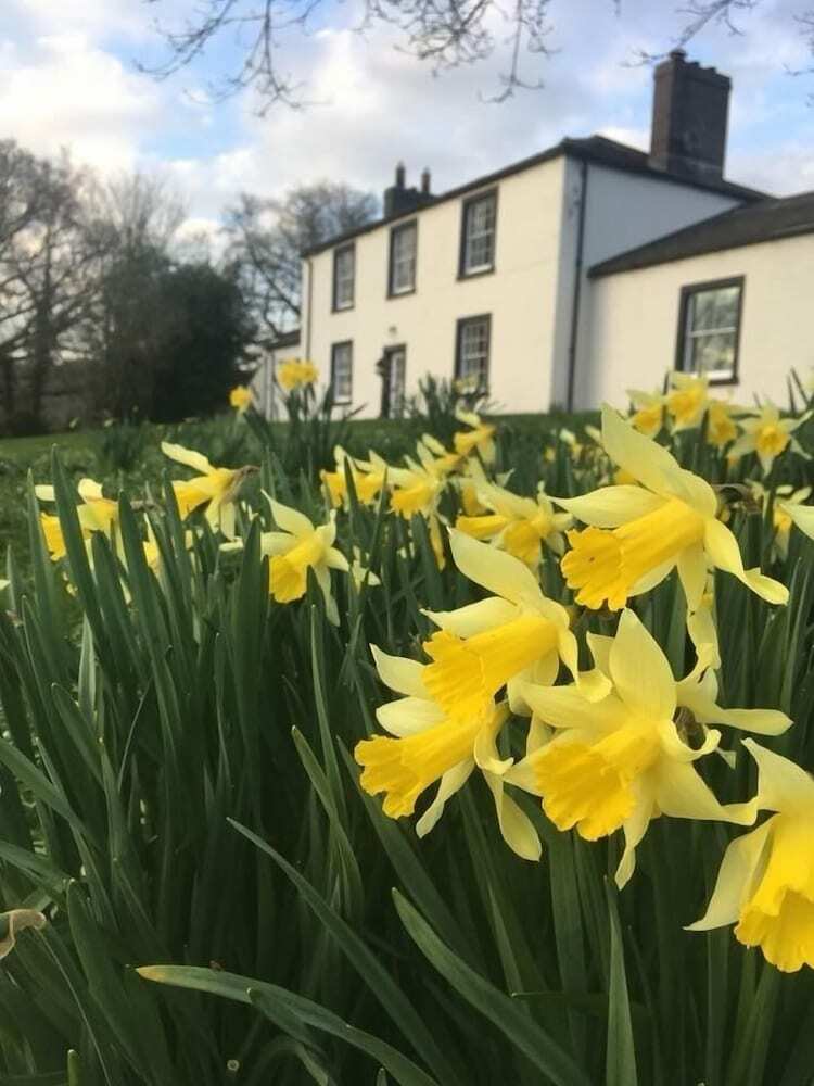 Bed & Breakfast Lanercost Equestrian And Country