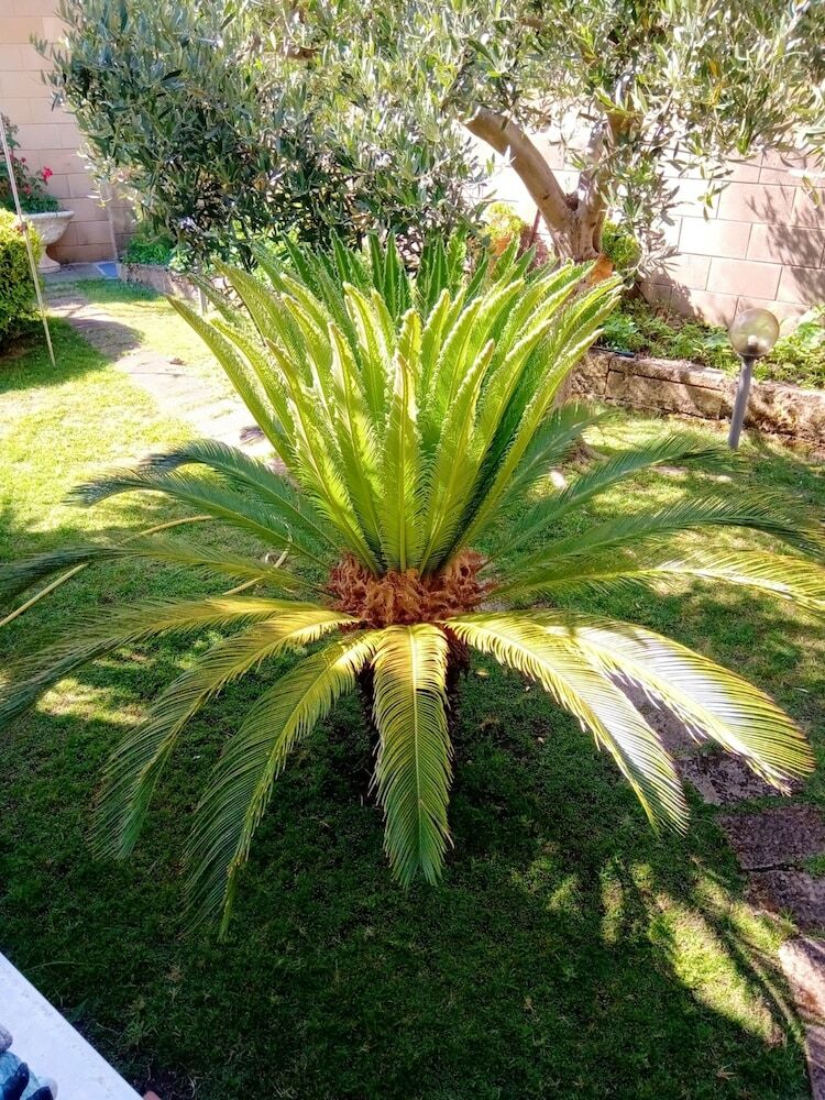 Apartamento Studio In Crotone, With Terrace And Wifi - 500 M From The Beach