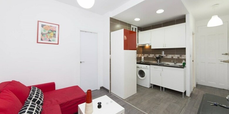 Euroapartamentos Lavapi�s