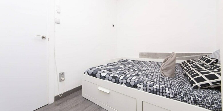 Euroapartamentos Lavapi�s