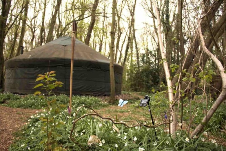 Cabana Ancient Woodland Retreat