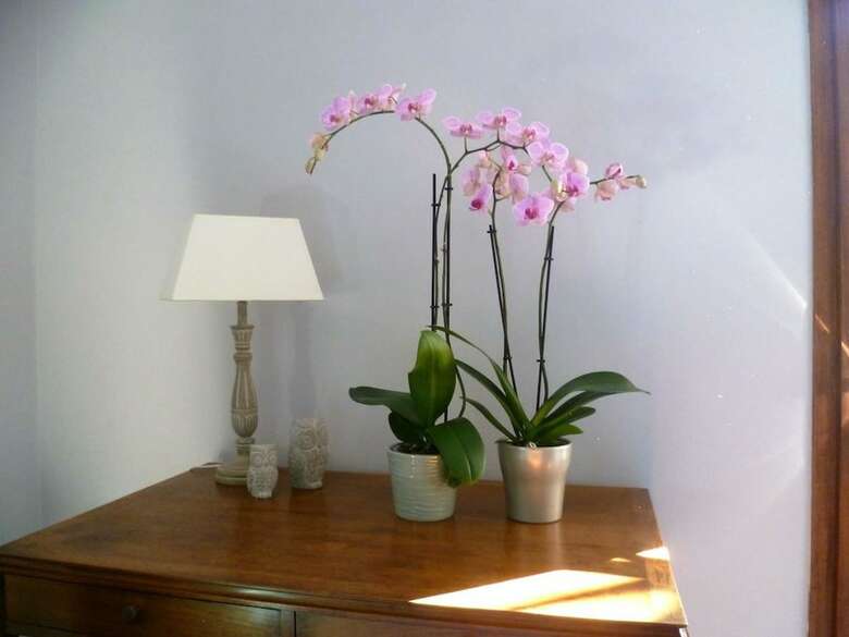 Bed & Breakfast Chambres D'h�tes Le Vignaud