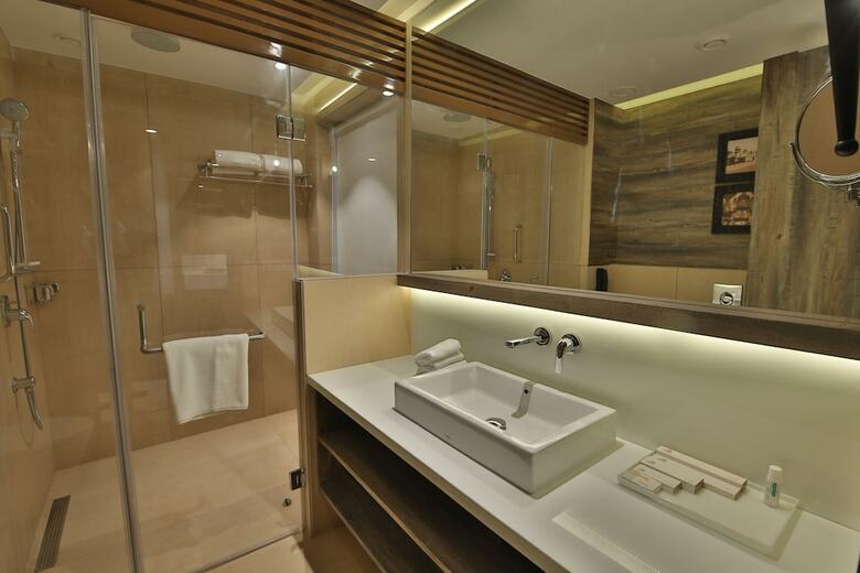 Hotel Sayaji Rajkot