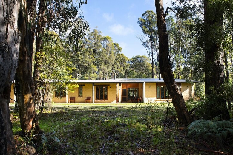 Gumtree Spring
