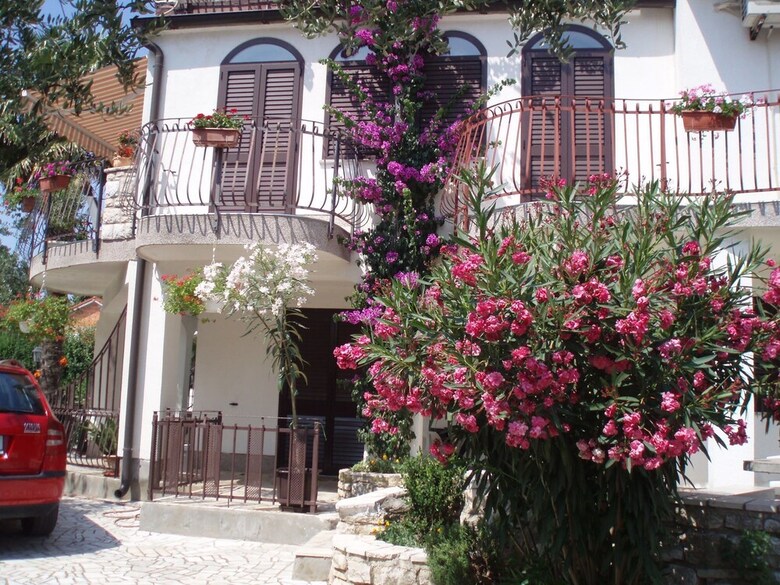 Apartamentos Rooms Violanda