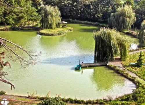 Grande Villa Du Ch�teau
