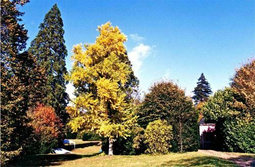 Grande Villa Du Ch�teau