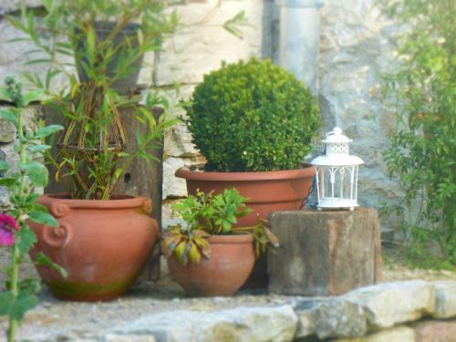 Bed & Breakfast Chambres D'h�tes B�red Vuillemin