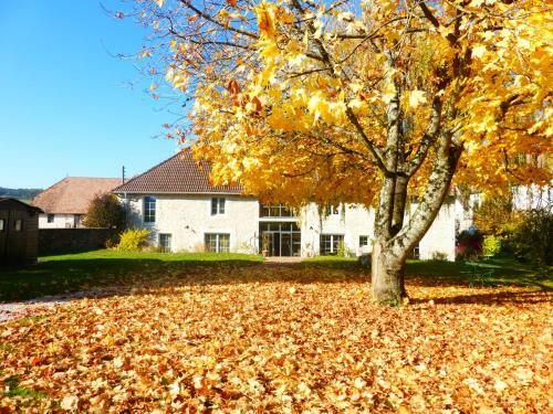 Bed & Breakfast Chambres D'h�tes B�red Vuillemin