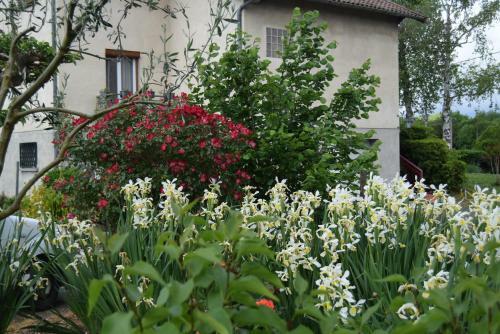 Bed & Breakfast Le Nid De L'ecureuil