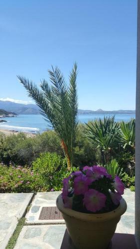 Apartamento Residence Arinella