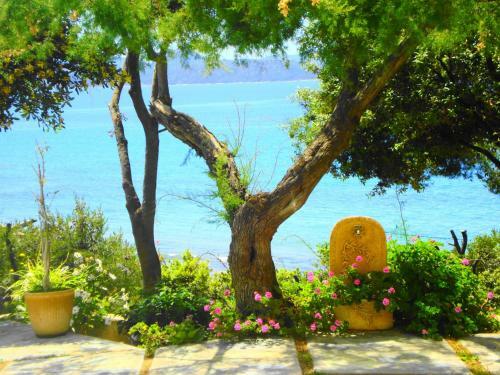 Apartamento Residence Arinella