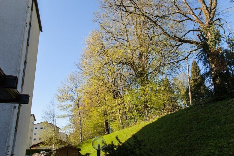 Apartamentos Ferienwohnung Royal