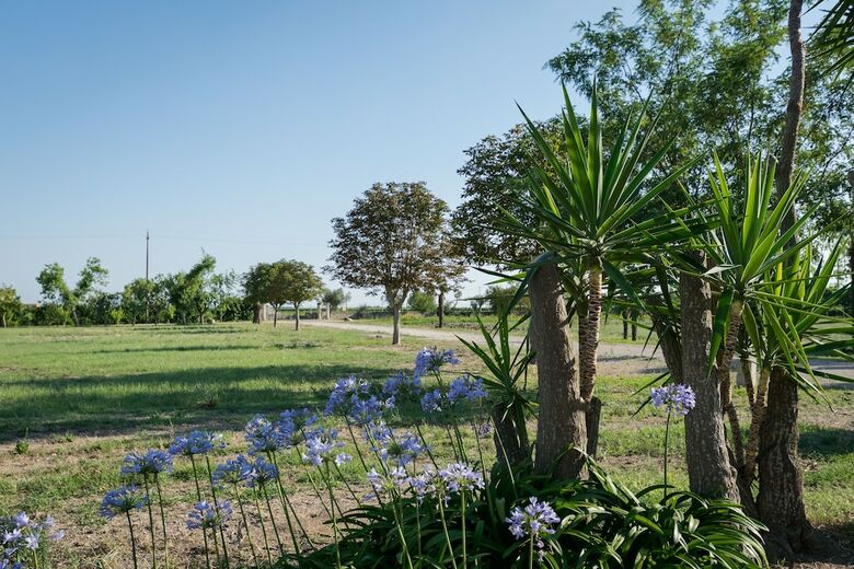 Bed & Breakfast Masseria Mazzetta Salento
