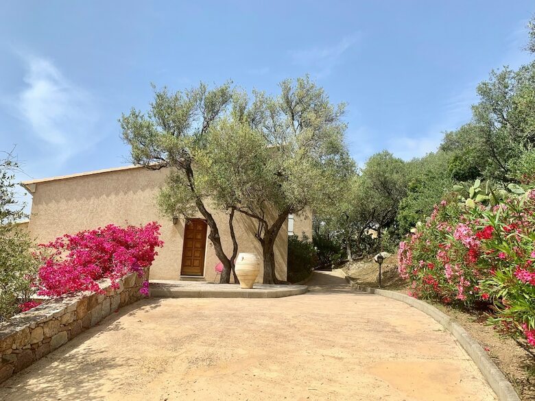 Apartamento R�sidence L?olivella